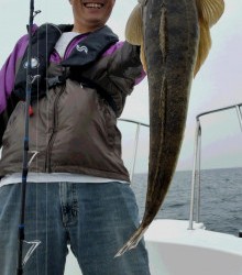 ＪＤＩ　Ｒａｃｉｎｇ　シールズマリンレジャー 釣果