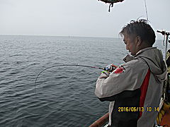 遊漁船 未紗奈 釣果