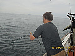 遊漁船 未紗奈 釣果