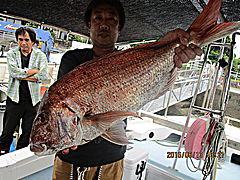 遊漁船 未紗奈 釣果