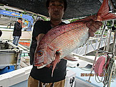 遊漁船 未紗奈 釣果