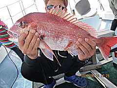 遊漁船 未紗奈 釣果