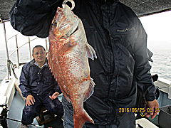 遊漁船 未紗奈 釣果