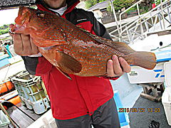 遊漁船 未紗奈 釣果