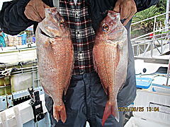 遊漁船 未紗奈 釣果