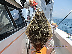 遊漁船 未紗奈 釣果