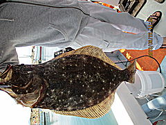 遊漁船 未紗奈 釣果