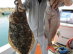 遊漁船 未紗奈 釣果