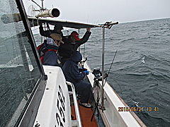 遊漁船 未紗奈 釣果