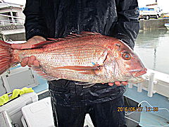 遊漁船 未紗奈 釣果