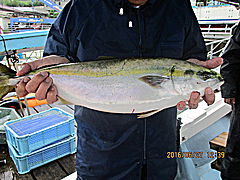 遊漁船 未紗奈 釣果