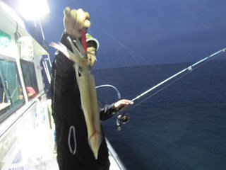 ジギング船 BLUEWATER 釣果