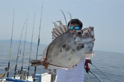 ジギング船 BLUEWATER 釣果