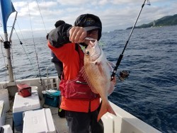 鯛多ニック 釣果