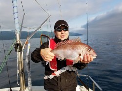 鯛多ニック 釣果