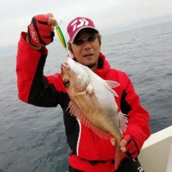 鯛多ニック 釣果