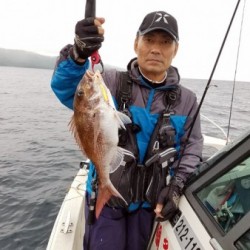 鯛多ニック 釣果