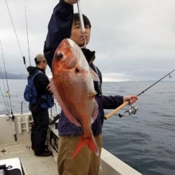 鯛多ニック 釣果