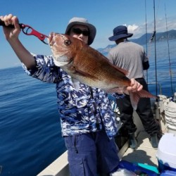 鯛多ニック 釣果