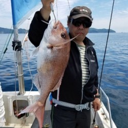 鯛多ニック 釣果
