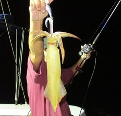 ジギング船 BLUEWATER 釣果