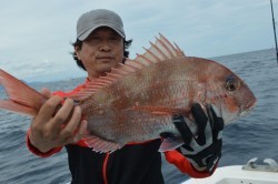 ジギング船 BLUEWATER 釣果