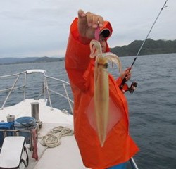 ジギング船 BLUEWATER 釣果