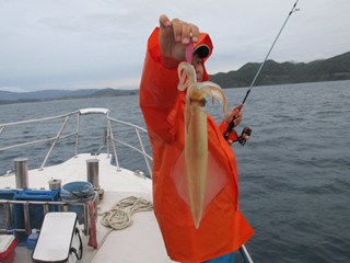 ジギング船 BLUEWATER 釣果