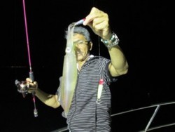 ジギング船 BLUEWATER 釣果