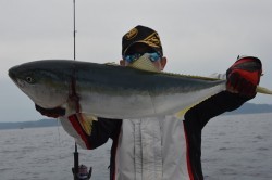 ジギング船 BLUEWATER 釣果