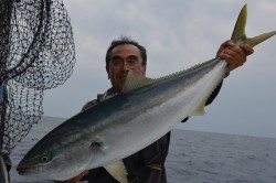 ジギング船 BLUEWATER 釣果