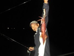 ジギング船 BLUEWATER 釣果