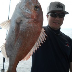 鯛多ニック 釣果