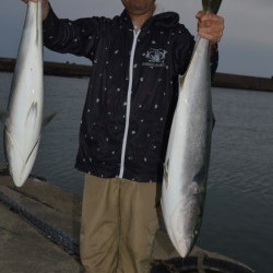 ジギング船 BLUEWATER 釣果