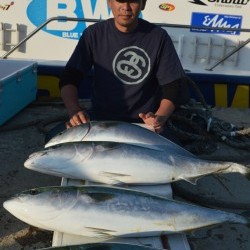 ジギング船 BLUEWATER 釣果