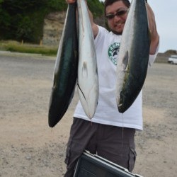 ジギング船 BLUEWATER 釣果