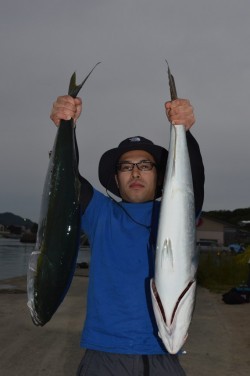 ジギング船 BLUEWATER 釣果