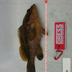 予想外の強風で・・・仕方なく湾内での釣り