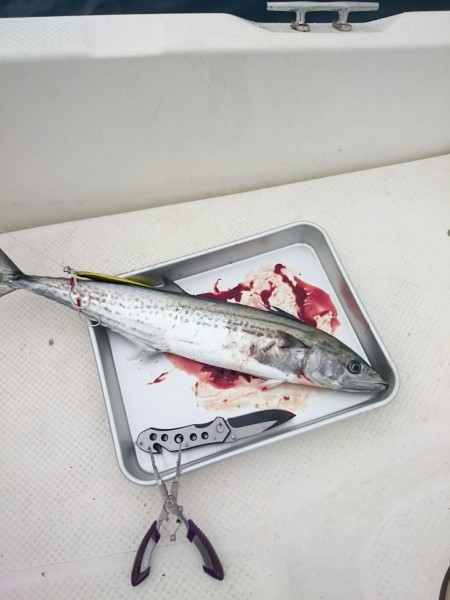 ラストチャンスか・・・