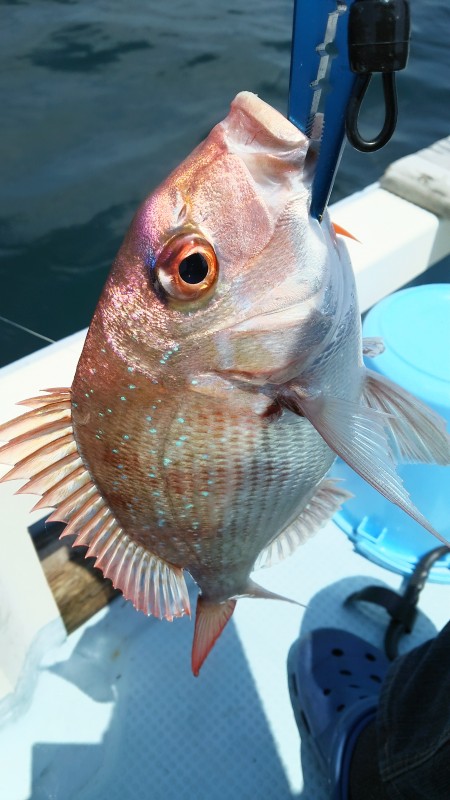 友人の船でタイラバ！