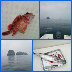 ラストチャンスか・・・