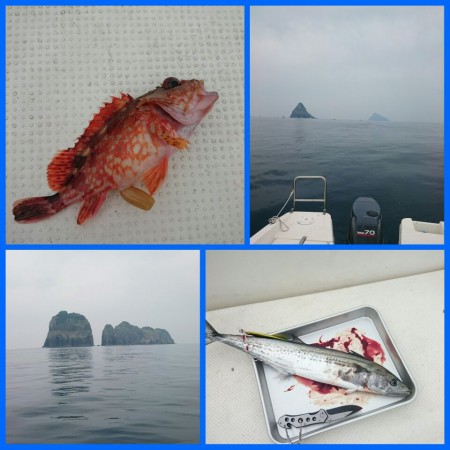 ラストチャンスか・・・