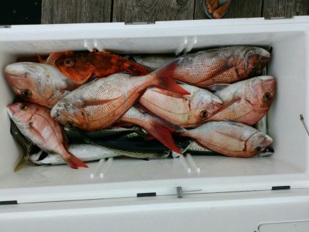 田曽沖釣果報告(マイボート釣行)