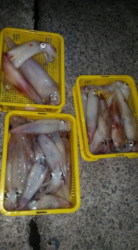 またまた今シーズンも！