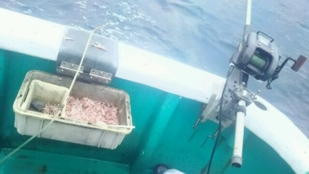 五目もおもしろい