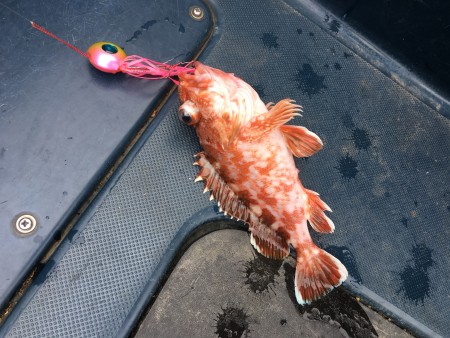 オニアジサビキ＆タイラバ