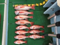 第二隆星丸 釣果