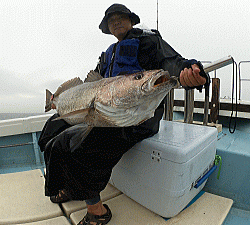 浩敬丸 釣果