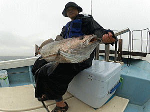浩敬丸 釣果