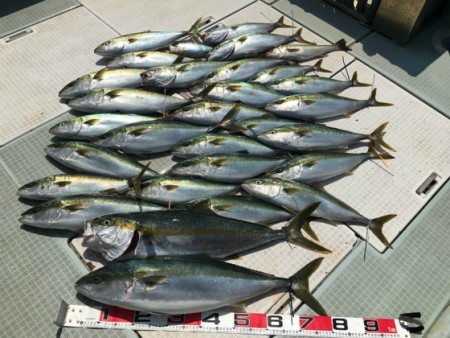 ふじしめ丸 釣果